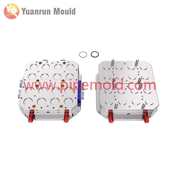 PPH MOLD-TWO COLOUR EXPANDING O-RING